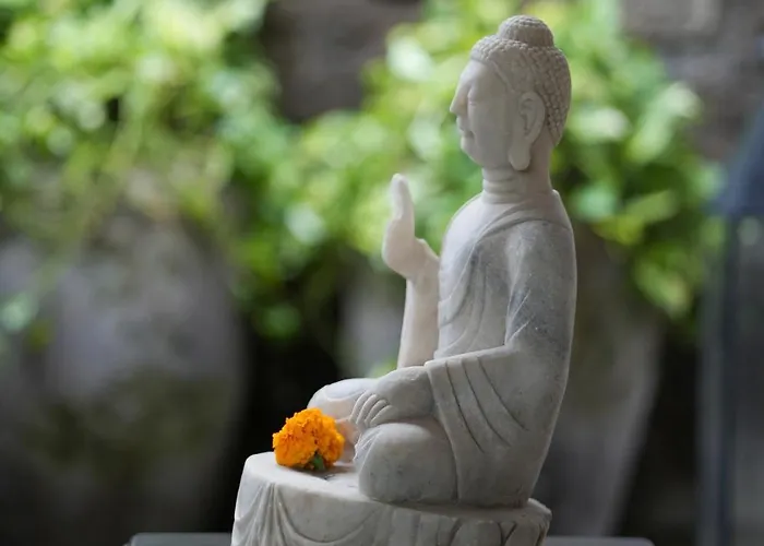 Mosan House: Art-filled Gem Near & Square *